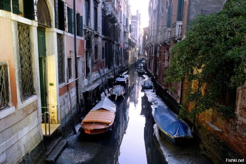 Солянка от 18.10.2025