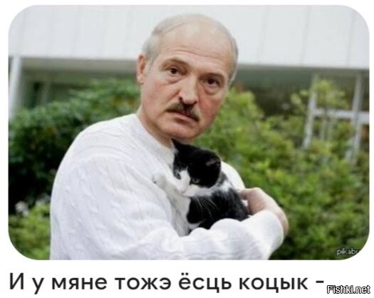 Кошка и картошка: 22 милых снимка, демонстрирующих единство приятного и полезного