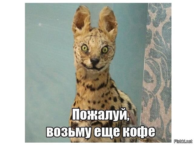 Доброго утра и лёгкого начала новой недели