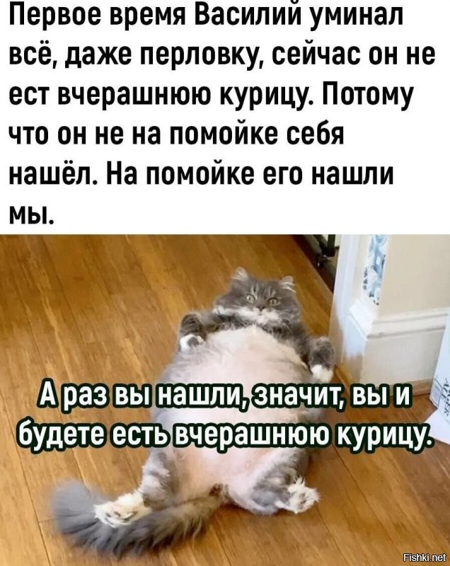 Солянка от 20.10.2025