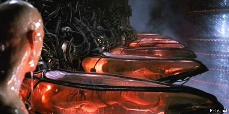 Солянка от 20.10.2025