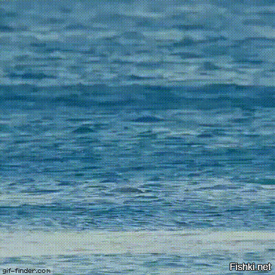 Просто гифки, всякие и&nbsp;разные