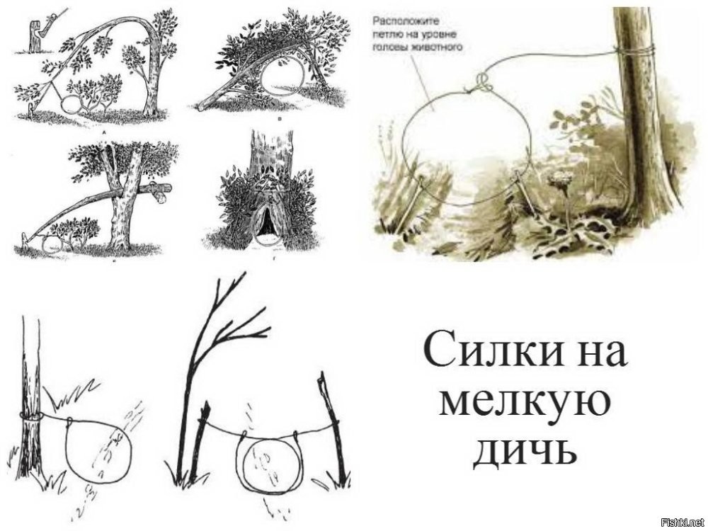 Так и без головы остаться можно