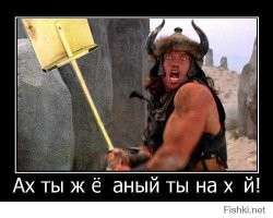 Прохожий оказался в центре «латиноамериканского боя» прямо посреди улицы