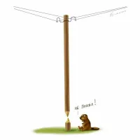 Демотиваторы в начале недели 