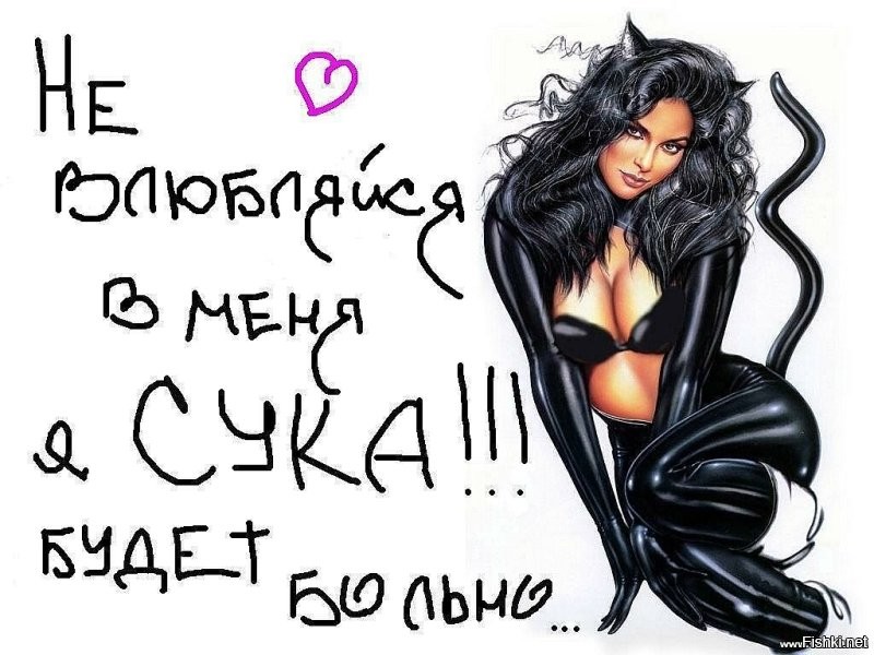 Солянка от 20.10.2025