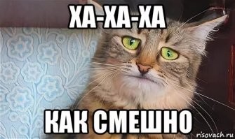 Смешные картинки
