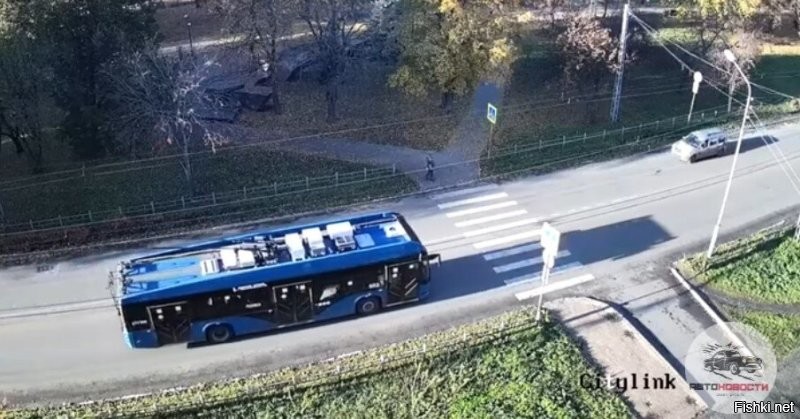 Судя по теням, солнце низко и прямо в глаза водителю. 

Он её просто не увидел. 

Не оправдываю водителя, но понять причину можно. 
Да и не летел он.