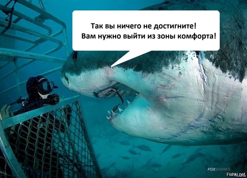 Солянка от 20.10.2025