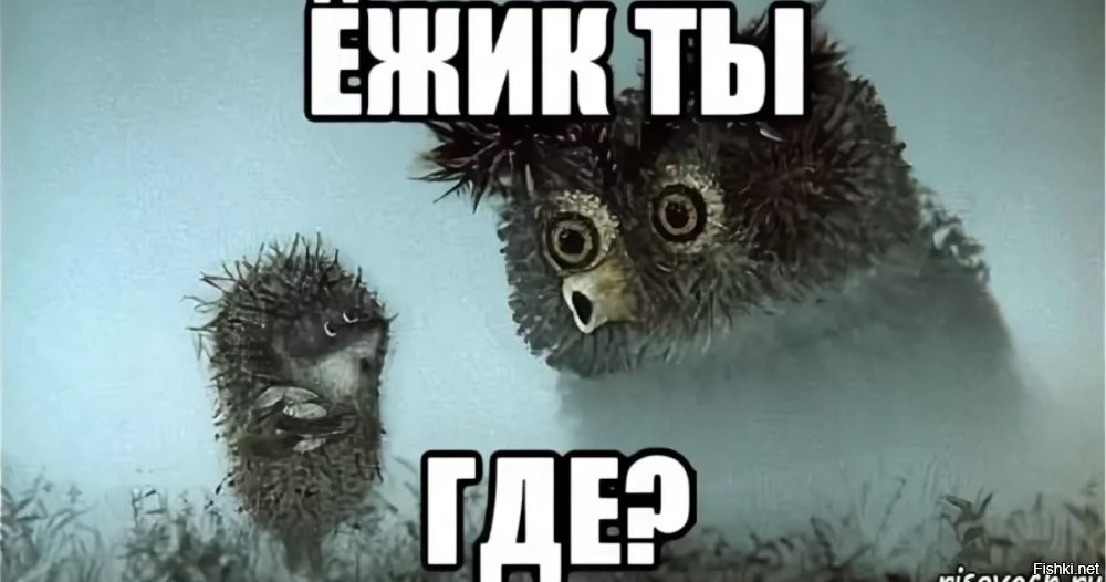 Солянка от 21.10.2025