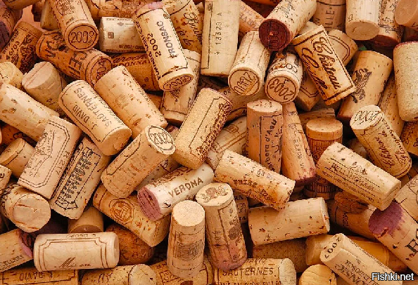 Солянка от 20.10.2025