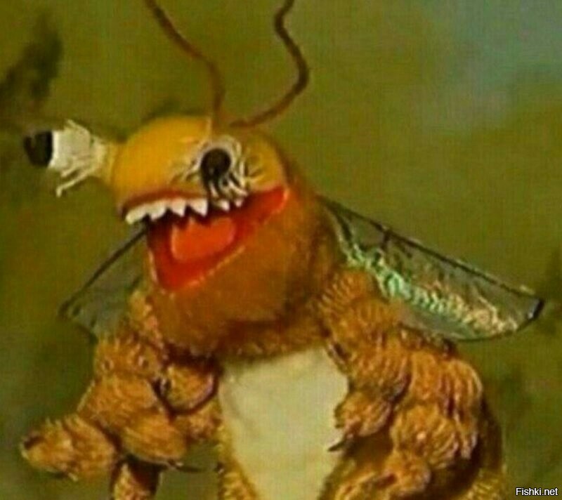 Солянка от 21.10.2025