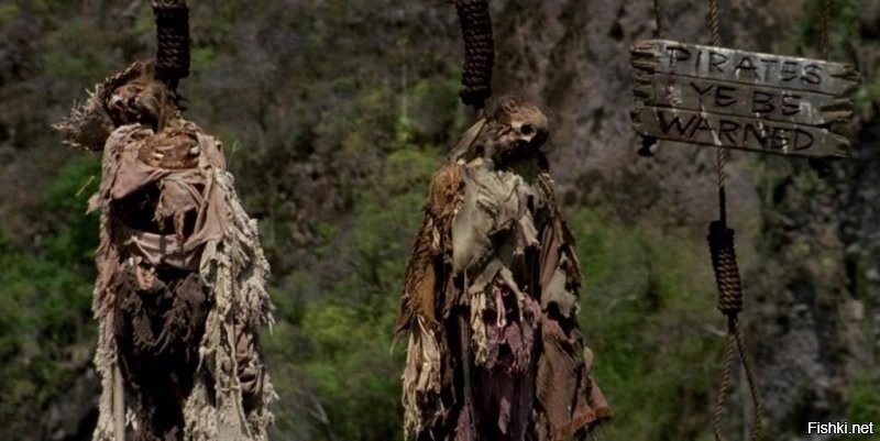 Солянка от 21.10.2025