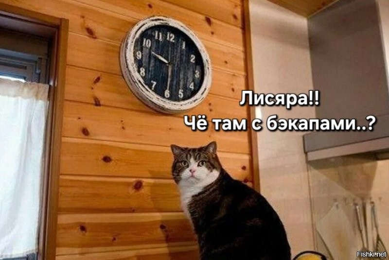 Ну и шо? Долго еще ждать..?
Сижу как дурак с денвером...
Джентельменским набором...
Обновляю почту... жду ответа...
Как соловей...