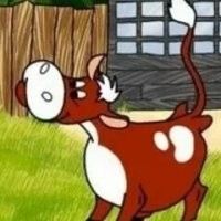 Гаврюша ко мне!
Дай лапу