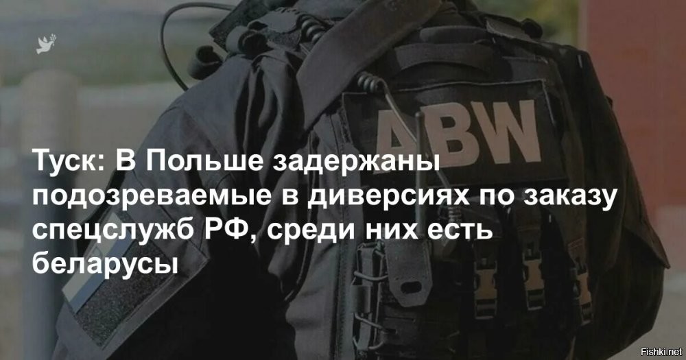 В Польше заявили о задержании 55 человек, действующих «в интересах России»



Варшава, 21 октября 2025, 13:29 - Сотрудники Агентства внутренней безопасности Польши (ABW) задержали 55 человек за действия в интересах иностранной разведки. Об этом сообщает Reuters со ссылкой на пресс-секретаря координатора спецслужб Яцека Добжиньского.

«За последние месяцы сотрудники Агентства внутренней безопасности задержали в общей сложности 55 человек, которые действовали во вред Польше, действуя в интересах российской разведки»,   подчеркнул Добжиньский.

Он также подтвердил информацию о том, что, в частности, в последние дни сотрудники Агентства внутренней безопасности совместно с другими службами задержали восемь человек.

19 сентября Добжиньский рассказал о том, что на территорию Польши пытались пробраться иностранные граждане через тоннель с территории Белоруссии. Люди «по ту сторону заграждения» забросали польских пограничников камнями, после чего в них полетел коктейль Молотова, сообщил пресс-секретарь. Впоследствии польские пограничники задержали 10 иностранцев (пятеро граждан Афганистана и пятеро граждан Эритреи).

Пшеки одержимы шпиономанией