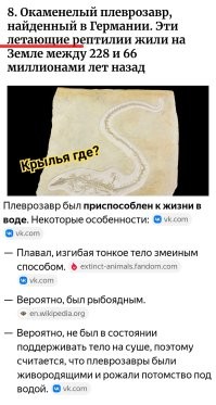 18 находок, позволяющих узнать об удивительных жителях планеты ушедших эпох