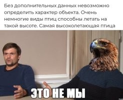 Самолёт Boeing 737 MAX на высоте 9000 метров столкнулся с неизвестным объектом