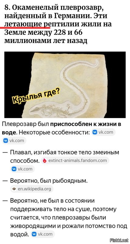 18 находок, позволяющих узнать об удивительных жителях планеты ушедших эпох
