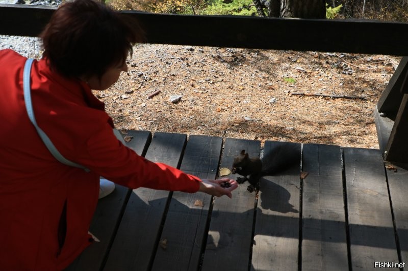 Солянка от 20.10.2025