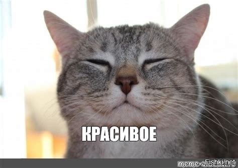 20 поводов улыбнуться и восхититься, подаренных природой
