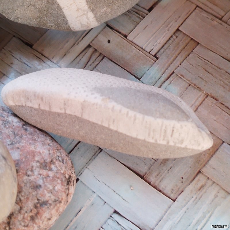 А вот мои окаменелости. Конечно не музейные экспонаты, но тоже интересные. Люблю поразглядывать. И есть ещё янтарный кулон  инклюз. Там муха, правда без головы. Но я не могу сделать такое профессиональное фото, потому видно плоховато.