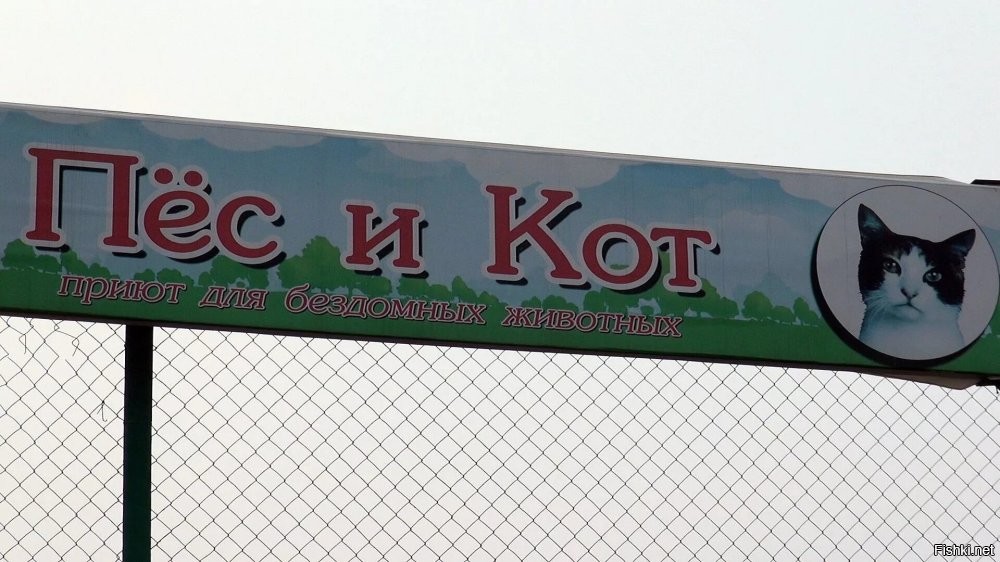 На следующий день...