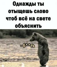 В Роскомнадзоре объяснили сбои в работе мессенджеров WhatsApp* и Telegram