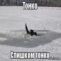 Как кошка с собакой