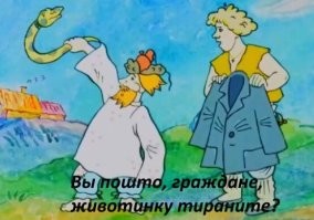 В Бразилии из бассейна вытащили пятиметровую анаконду