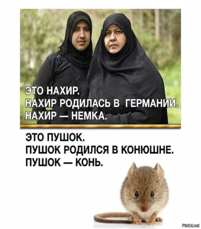 "А где немки?": жюри конкурса красоты в Германии показало 18 претенденток на корону