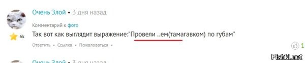 В таком случае почему эти не забанили?   Там тоже вроде как присутствует завуалированный мат с ваших слов. Или скажете что не заметили просто? Так что предположу, что делается это выборочно (вполне возможно что по юзерам) на усмотрение админа/модератора и в силу каких-то его личных предубеждений.