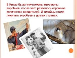 Опять что ли?