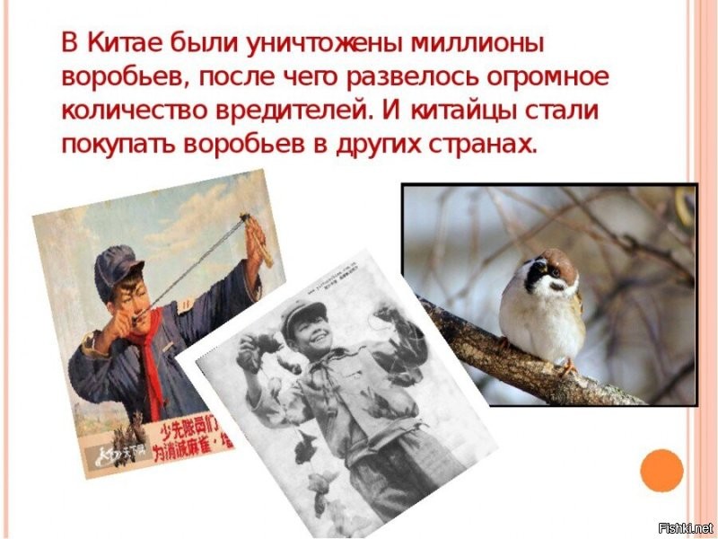 Опять что ли?