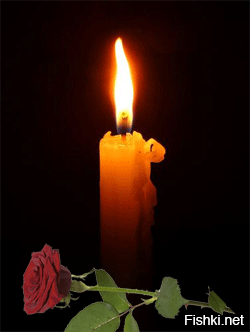 Политическая солянка. Часть 358