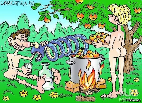 Солянка от 22.10.2025