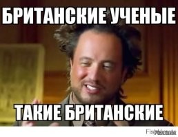 Обезьяна испытала чувство несправедливости