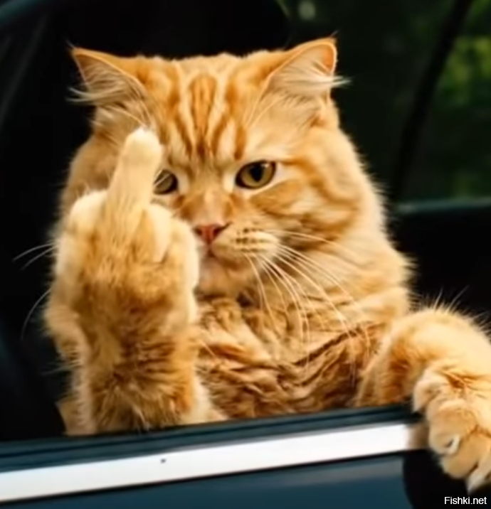 Я конечно извиняюсь, но