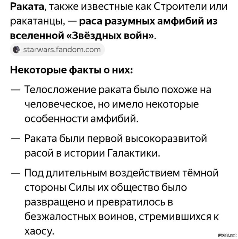 Акула-молот:  неразгаданное жуткое явление океана