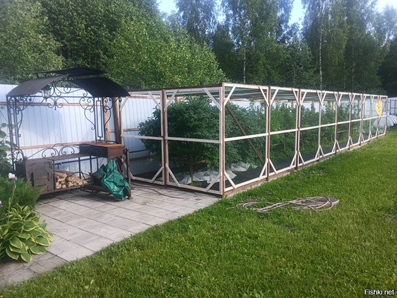 Мы сеткой урожай спасаем.