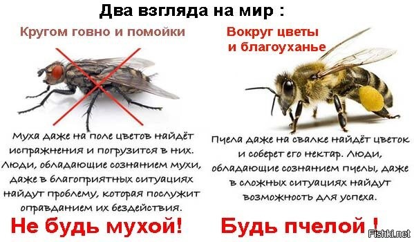 Солянка от 21.10.2025