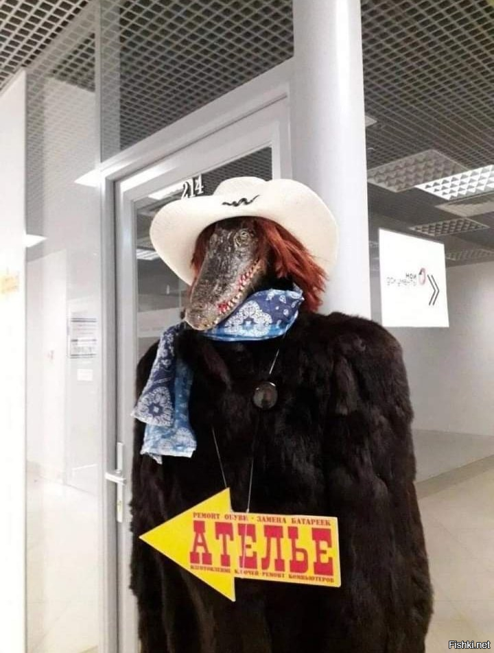 Солянка от 23.10.2025