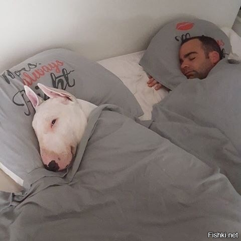 опять наверно об  Оксанкиных котах думает.......