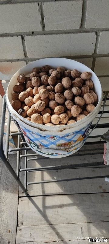 Солянка от 23.10.2025