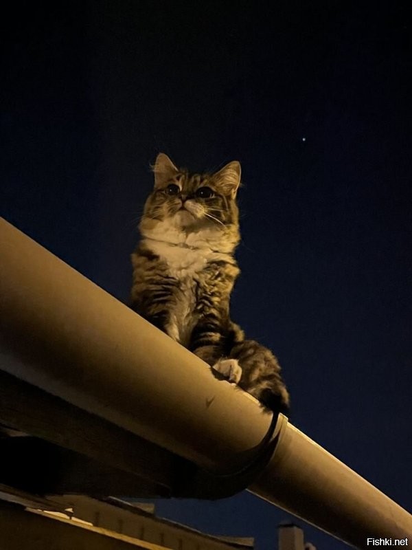 Солянка от 23.10.2025