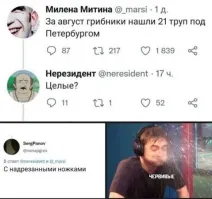 Подборка из осеннего леса