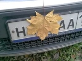 Сам прилип