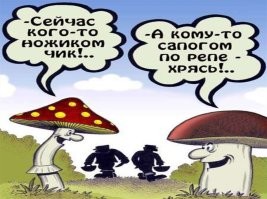 Подборка из осеннего леса