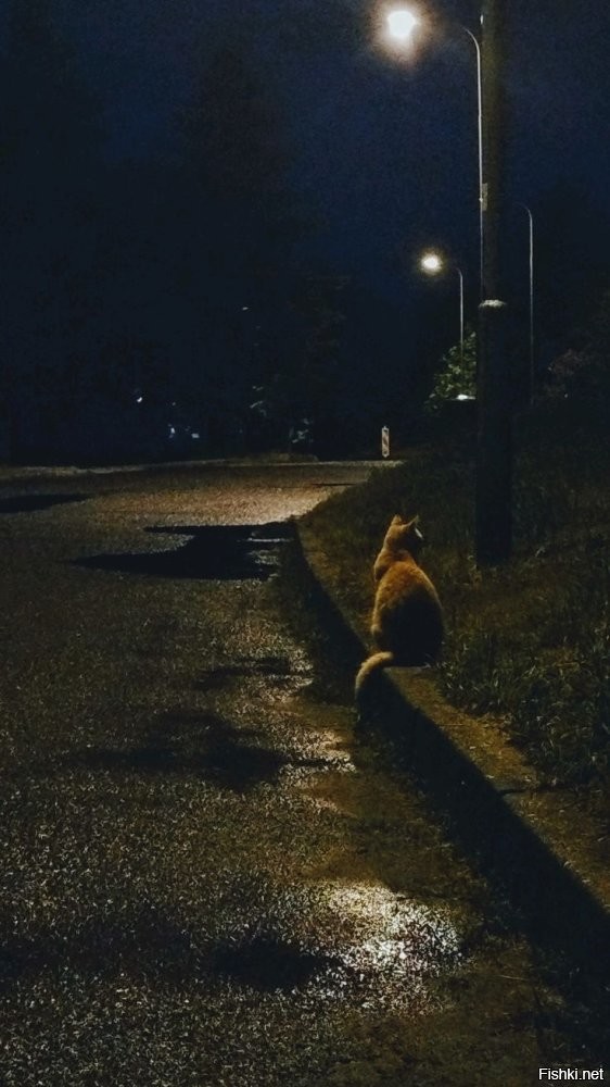 Солянка от 23.10.2025