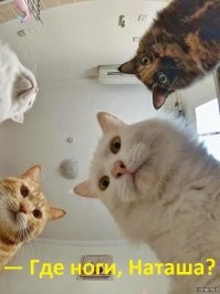 10 фактов о снежных ангелах, смелых людях, вечных часах и других потрясающих механизмах человечества и природы